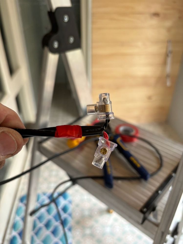 IMG_8263.jpeg IMG_8263.jpeg