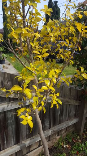 20200904_105212.jpg 20200904_105212.jpg