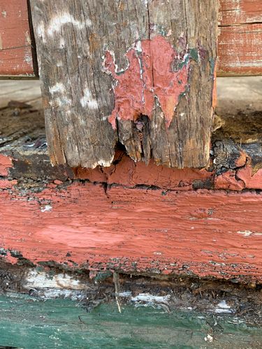 ECA84FC9-3EF2-4241-8B8B-C1FD460C7C55.jpeg ECA84FC9-3EF2-4241-8B8B-C1FD460C7C55.jpeg