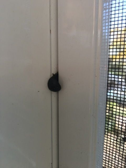 7A7482C9-91C2-445F-88B9-0ECC90B8676A.jpeg 7A7482C9-91C2-445F-88B9-0ECC90B8676A.jpeg