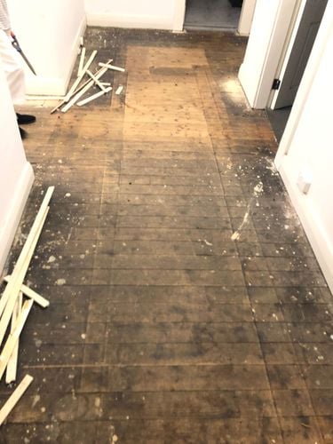 EB7BA64C-9696-4421-9F3D-336A0C400C10.jpeg EB7BA64C-9696-4421-9F3D-336A0C400C10.jpeg