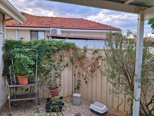 1000010758.jpg 1000010758.jpg