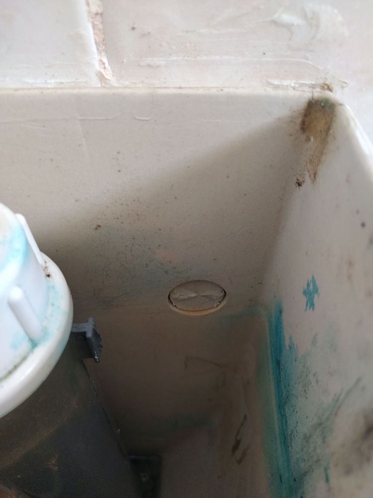 IMG_20221108_143801.jpg IMG_20221108_143801.jpg