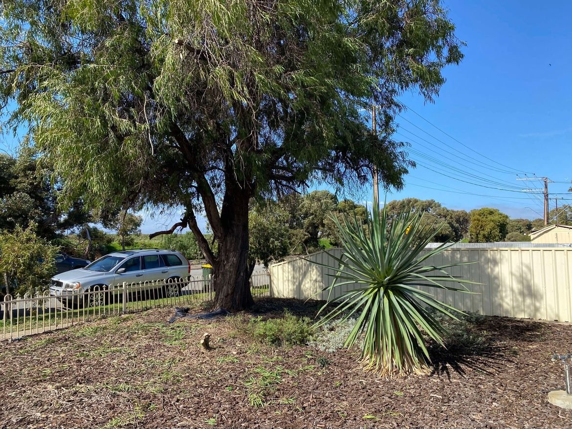 453782405_531625222624269_3924835820824217773_n.jpg 453782405_531625222624269_3924835820824217773_n.jpg