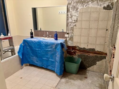 IMG_5541.jpeg IMG_5541.jpeg