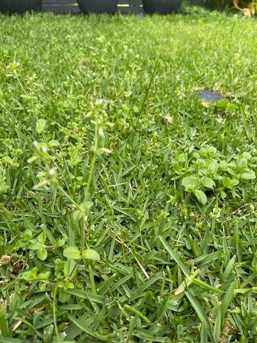 F431DDE3-CFBA-4F55-B0F8-D0461D02B2BD_1_105_c.jpeg F431DDE3-CFBA-4F55-B0F8-D0461D02B2BD_1_105_c.jpeg