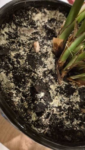 1000050146.jpg 1000050146.jpg