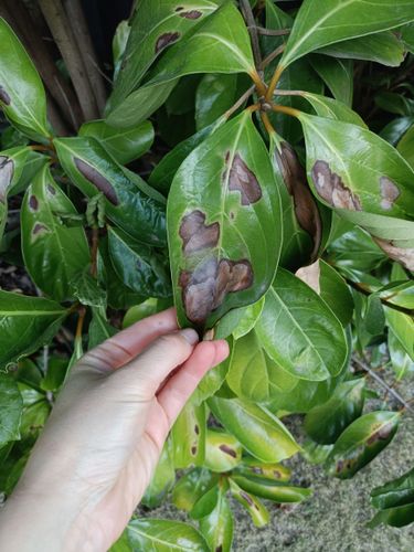 1000024872.jpg 1000024872.jpg