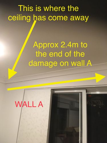 541BED5F-B057-47DA-A6EE-93912BBA2826.jpeg 541BED5F-B057-47DA-A6EE-93912BBA2826.jpeg