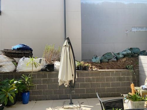 IMG_9411.jpeg IMG_9411.jpeg