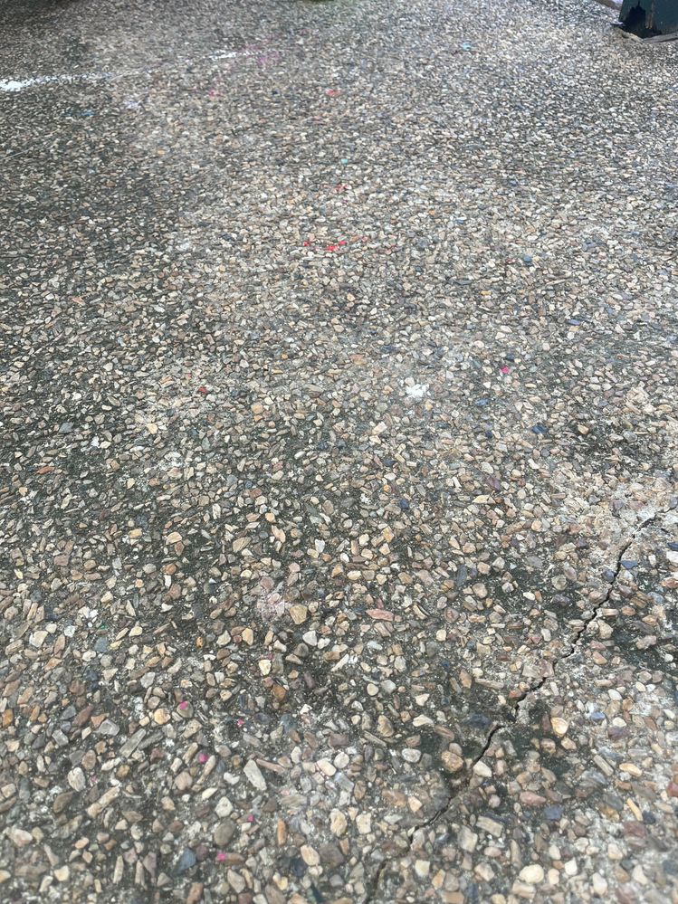 IMG_4567.jpeg IMG_4567.jpeg