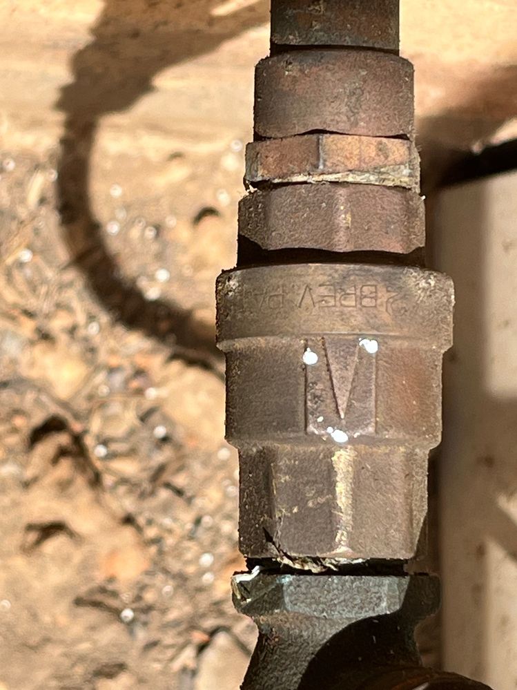 IMG_7846.jpg IMG_7846.jpg