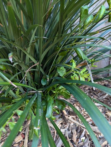 1000007510.jpg 1000007510.jpg