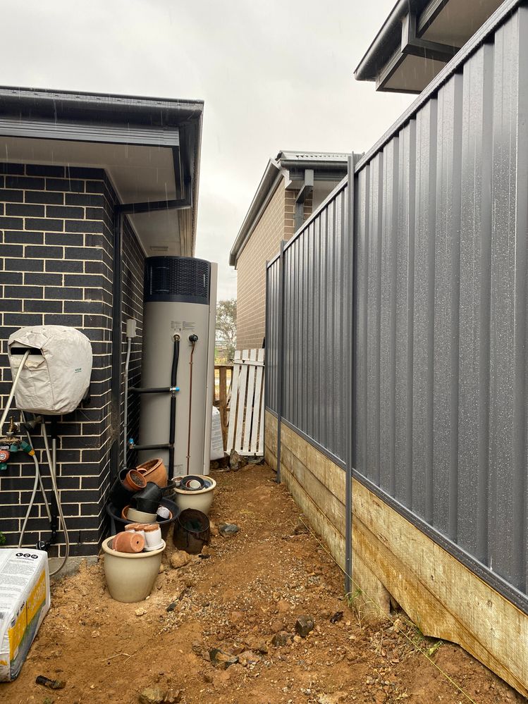 IMG_6184.JPG IMG_6184.JPG