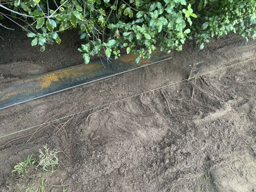 IMG_5627.jpeg IMG_5627.jpeg