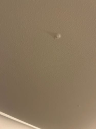 IMG_3723.jpeg IMG_3723.jpeg