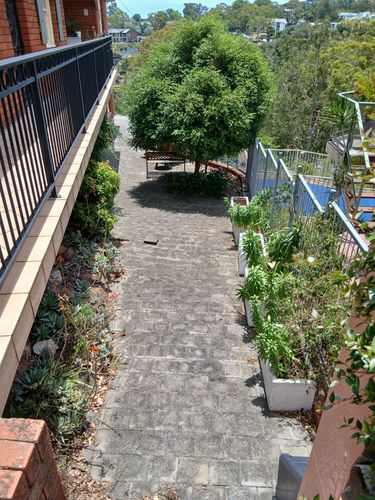 1000015472.jpg 1000015472.jpg