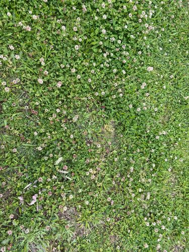 17BA8B8A-EE96-49FA-A145-EE3783A7F8F7.jpeg 17BA8B8A-EE96-49FA-A145-EE3783A7F8F7.jpeg