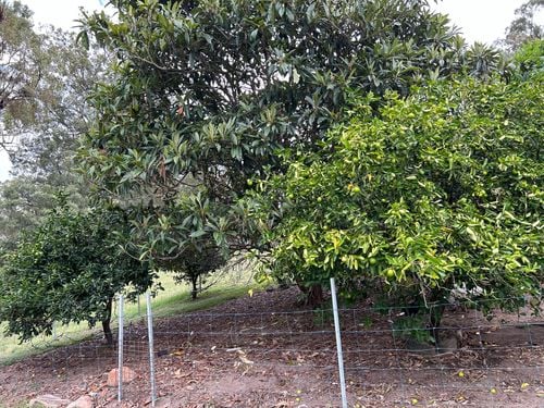 IMG_3094.jpeg IMG_3094.jpeg