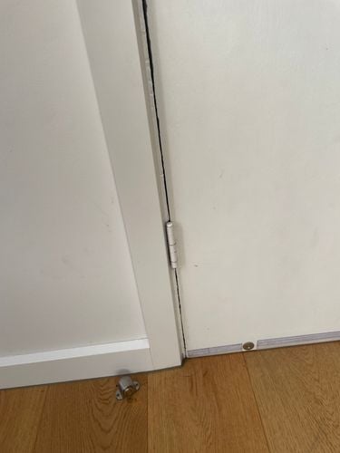 IMG_5048.jpeg IMG_5048.jpeg