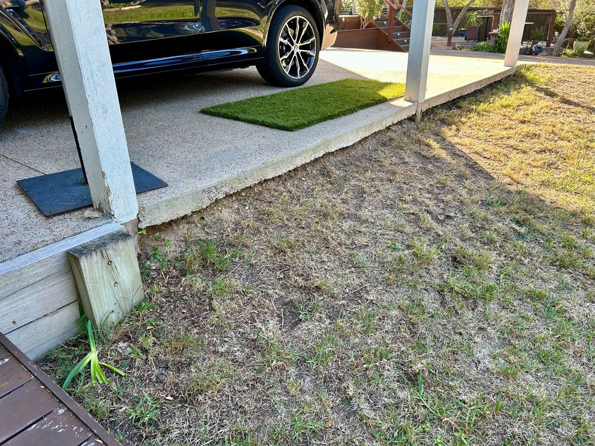 IMG_7138.jpeg IMG_7138.jpeg