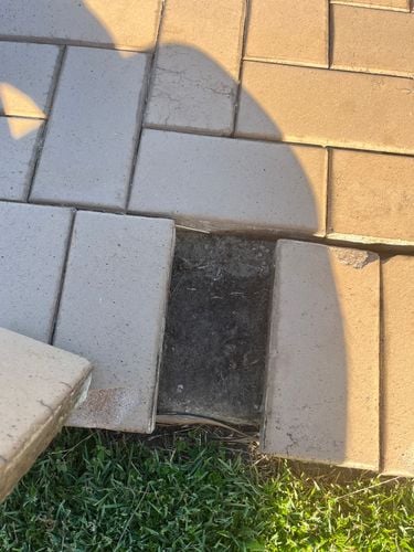 IMG_3790.jpeg IMG_3790.jpeg