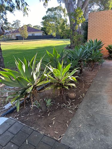 IMG_5530.jpg IMG_5530.jpg