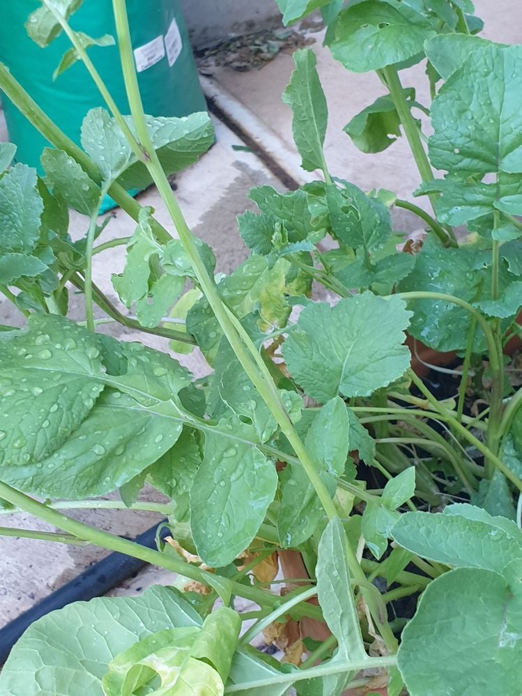 20240114_191634.jpg 20240114_191634.jpg