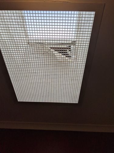 PXL_20210707_024128512.MP.jpg PXL_20210707_024128512.MP.jpg