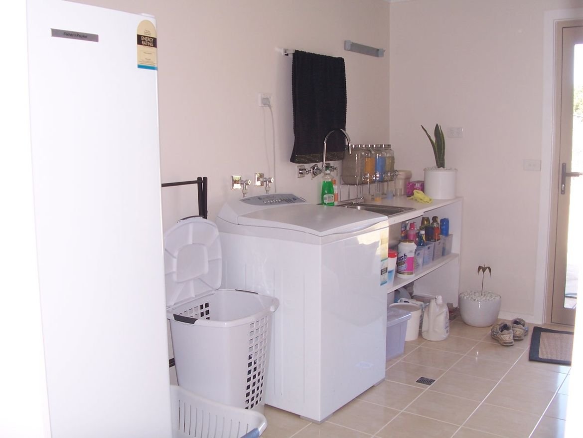 100_3165.JPG 100_3165.JPG