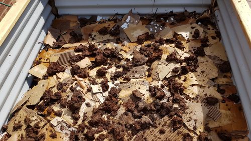 20190311_152827.jpg 20190311_152827.jpg