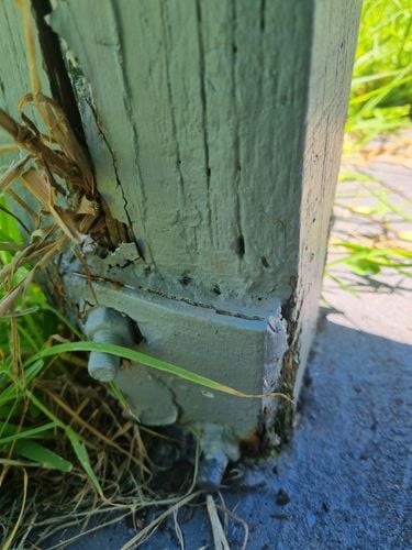 1000042381.jpg 1000042381.jpg