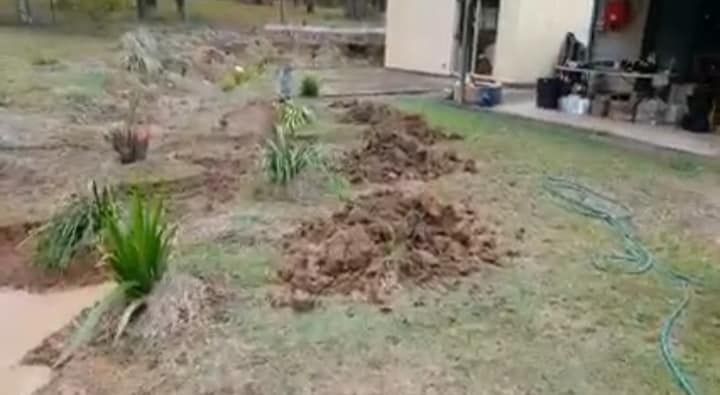 335829093_113908184982543_1922490760531107382_n.jpg 335829093_113908184982543_1922490760531107382_n.jpg