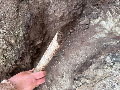 IMG_0624.jpeg IMG_0624.jpeg