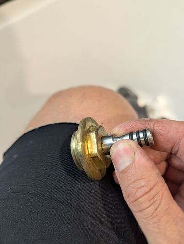 1000008333.jpg 1000008333.jpg