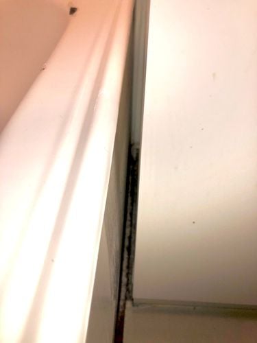 IMG_6334.jpeg IMG_6334.jpeg