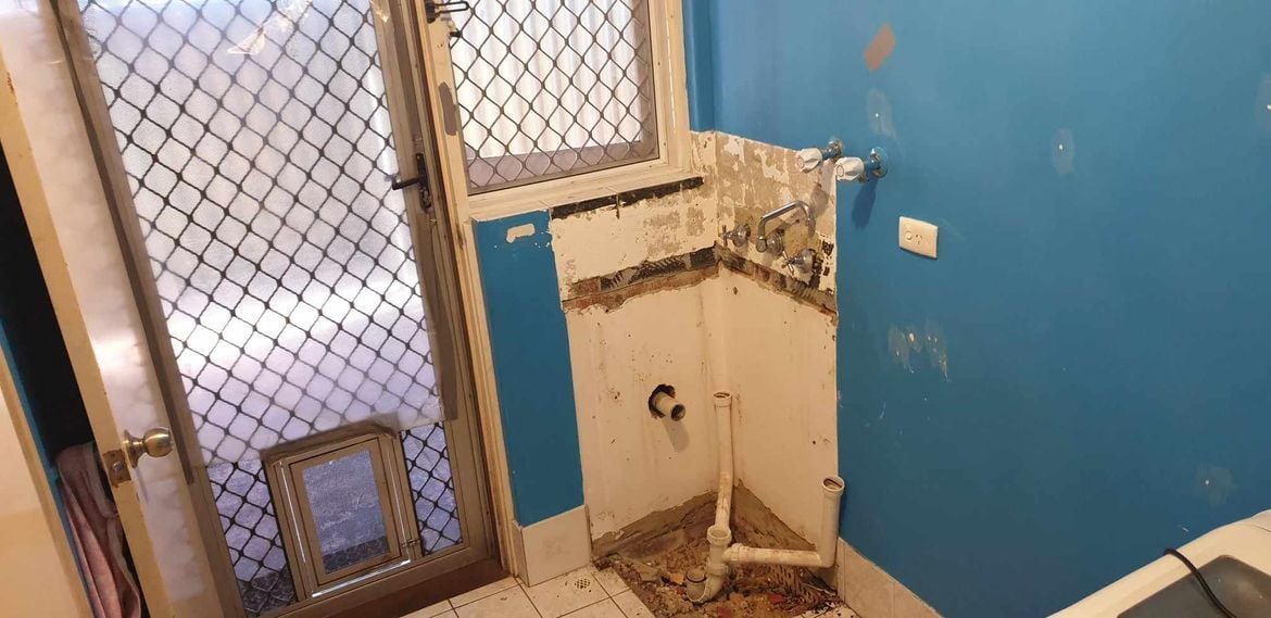 RobP_4-1724632464746.jpeg RobP_4-1724632464746.jpeg