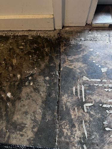 WhatsApp Image 2025-01-08 at 14.15.08_0dd125f6.jpg WhatsApp Image 2025-01-08 at 14.15.08_0dd125f6.jpg