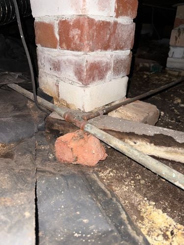 IMG_7456.jpeg IMG_7456.jpeg