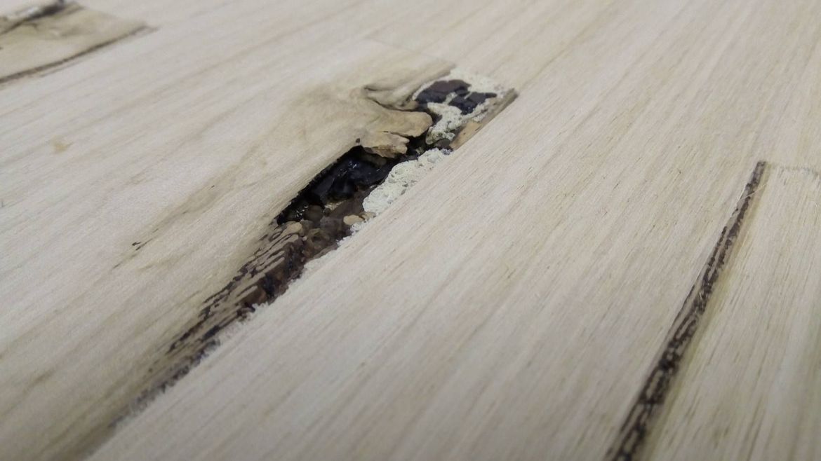 79 16-06-2018.jpg 79 16-06-2018.jpg