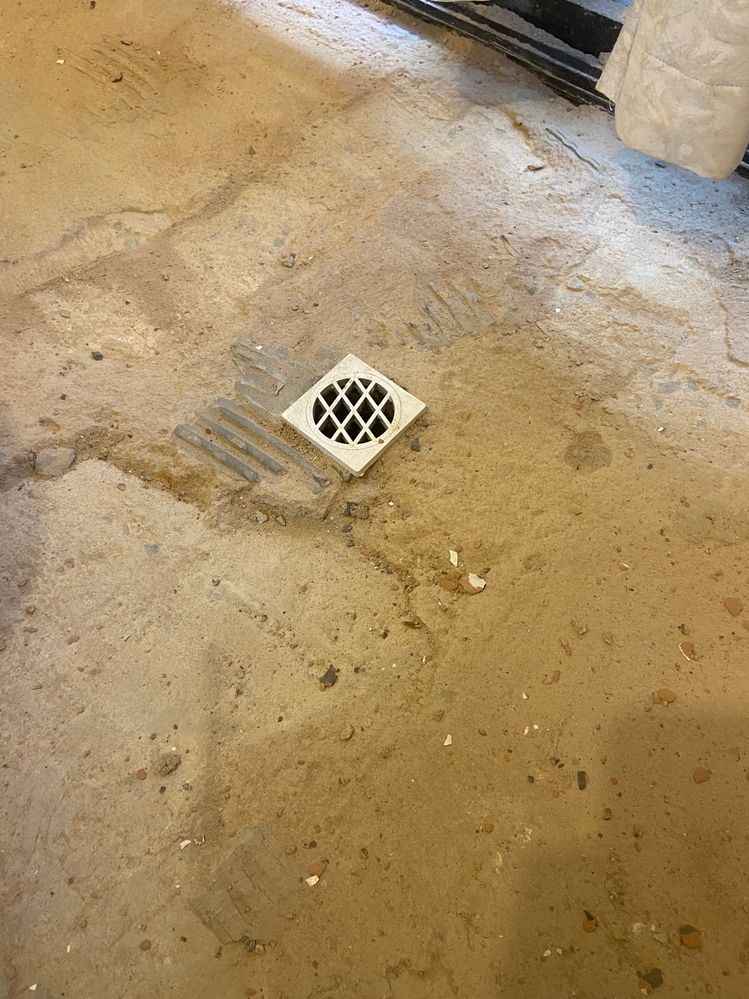 B6ED8049-85B1-4C8A-85D9-7E963282CB80.jpeg B6ED8049-85B1-4C8A-85D9-7E963282CB80.jpeg