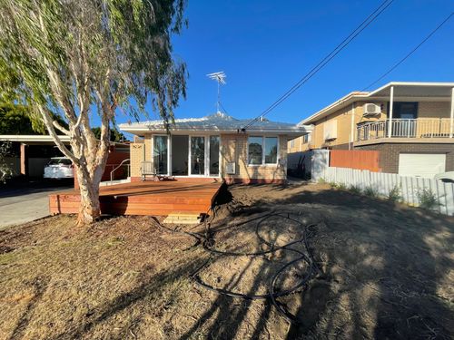 IMG_9105.jpeg IMG_9105.jpeg