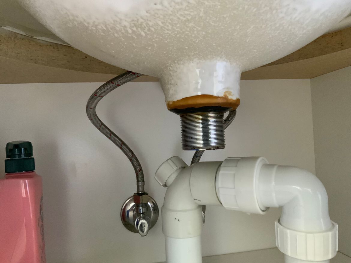 21714A4E-054E-4B22-A79E-044532DF3DE5.jpeg 21714A4E-054E-4B22-A79E-044532DF3DE5.jpeg