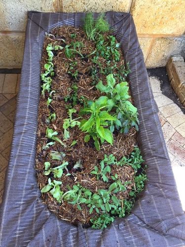 8A0F03AC-6B8E-47CB-9C5C-8EBAEF1682B2.jpeg 8A0F03AC-6B8E-47CB-9C5C-8EBAEF1682B2.jpeg