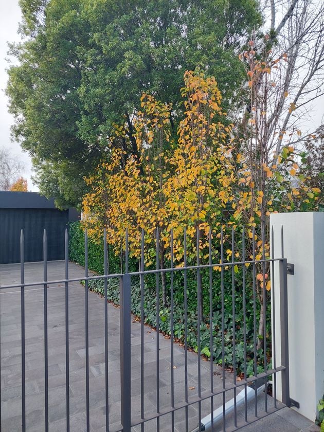 20220710_152840.jpg 20220710_152840.jpg