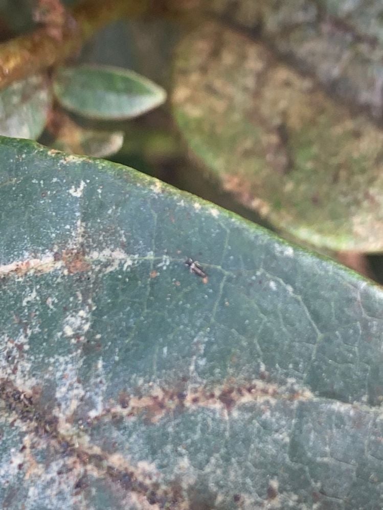 Image (4).jpeg Image (4).jpeg