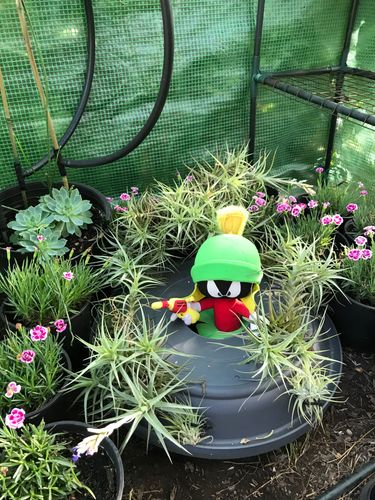 9B269C59-6F16-4498-B51D-137B7F5762FF.jpeg 9B269C59-6F16-4498-B51D-137B7F5762FF.jpeg