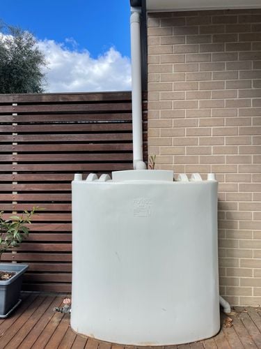 IMG_1290.JPG IMG_1290.JPG