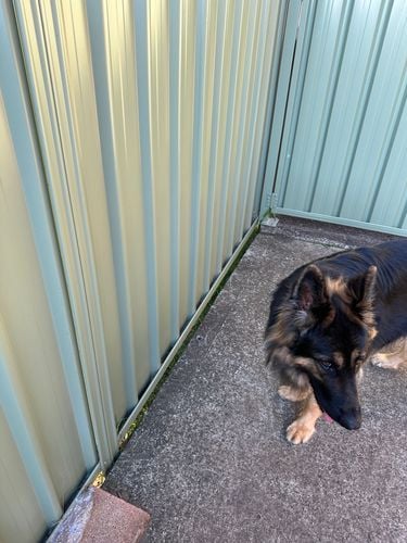 IMG_0023.jpeg IMG_0023.jpeg