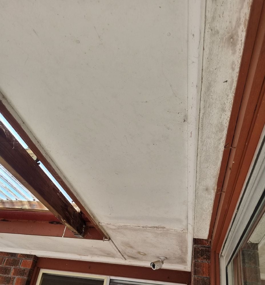 20250209_104816copy.JPG 20250209_104816copy.JPG